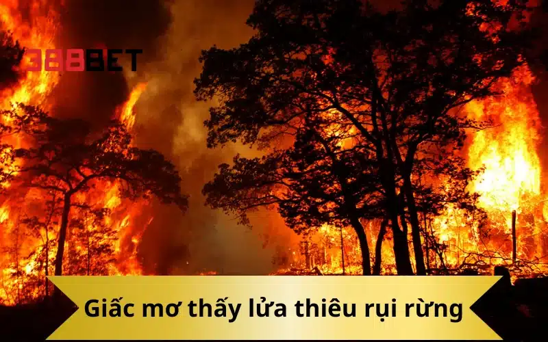 Giấc mơ thấy lửa thiêu rụi rừng