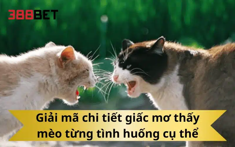 Giải mã chi tiết giấc mơ thấy mèo từng tình huống cụ thể