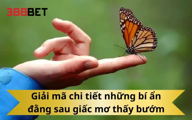 Giải mã chi tiết những bí ẩn đằng sau giấc mơ thấy bướm