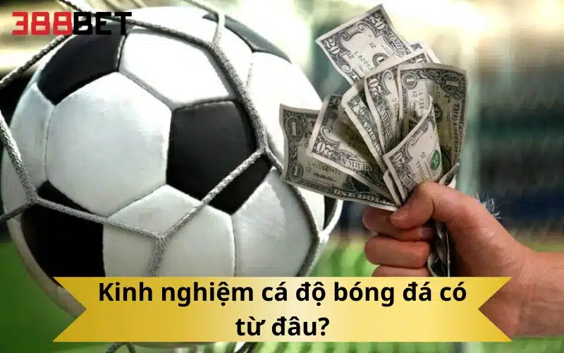 Kinh nghiệm cá độ bóng đá có từ đâu?