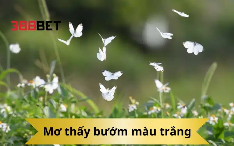 Mơ thấy bướm màu trắng