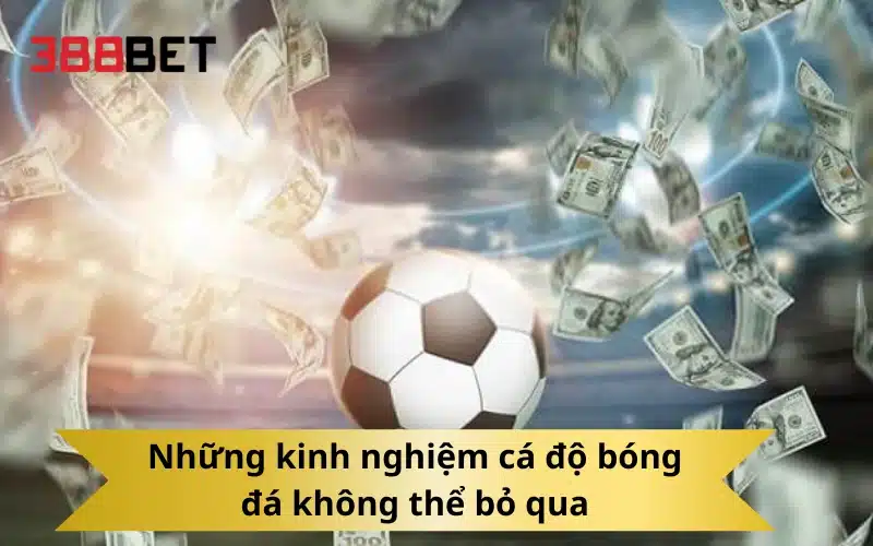 Những kinh nghiệm cá độ bóng đá không thể bỏ qua