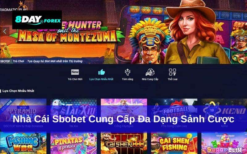 Các dịch vụ nổi bật của sbobet
